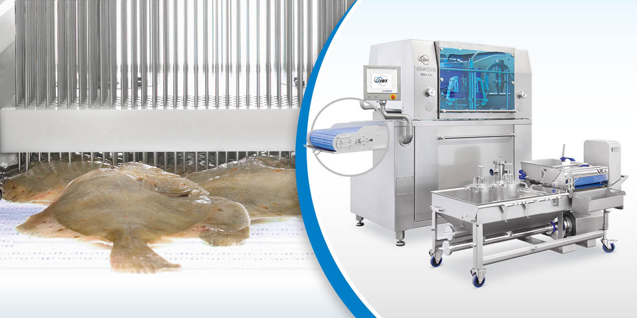 Fish injection technology protects natural product appearance while ...