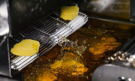 Achieving the perfect fried finish: introducing the improved ECO fryer
