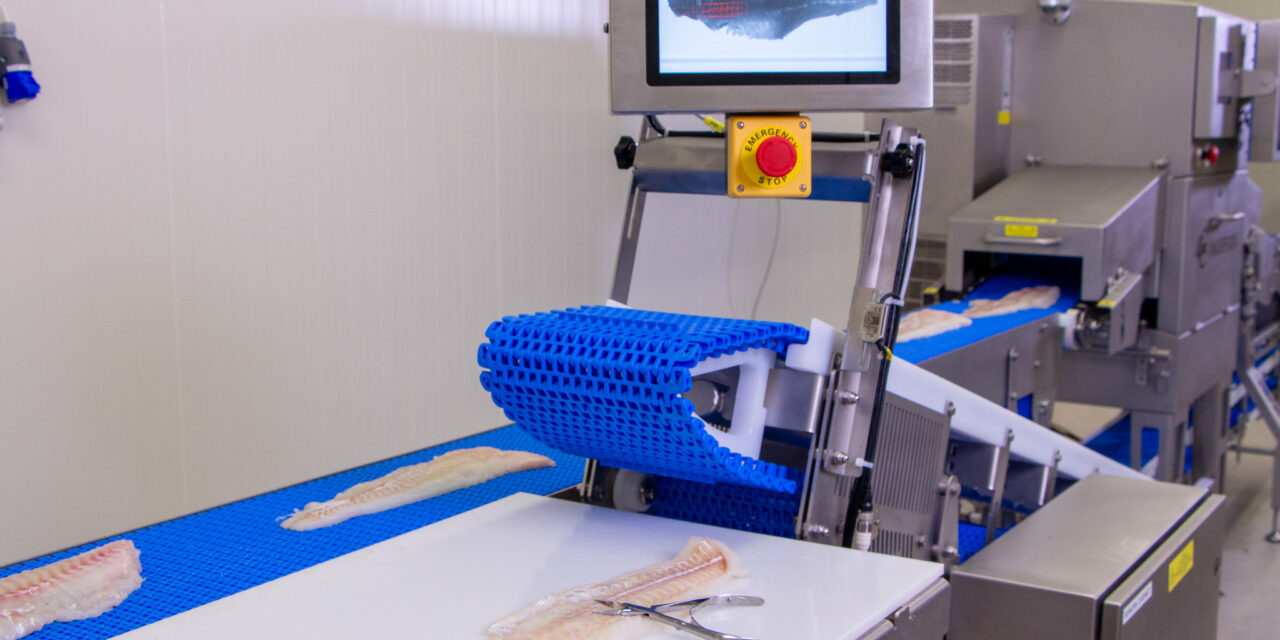 Innospexion: Boost fish yields with the revolutionary bone-detection system