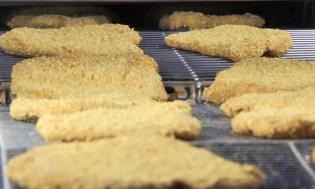 Breading made easy: why the Alco APT PRO improves breading results and productivity